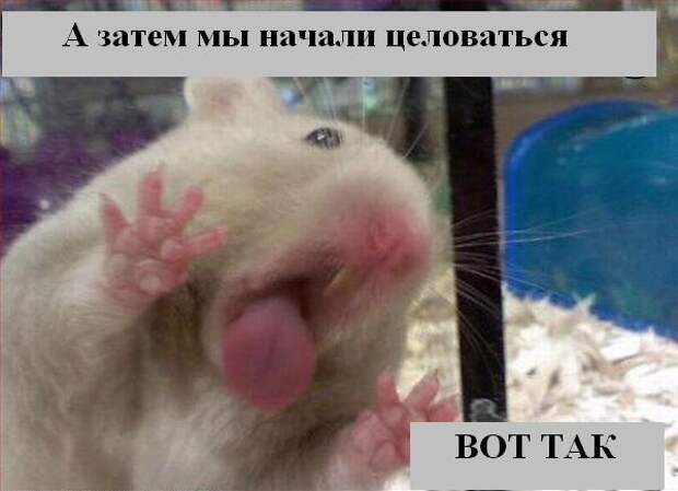 Мысли2 :) (50мыслей)