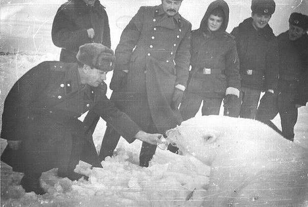 Архивные фотографии история, факты