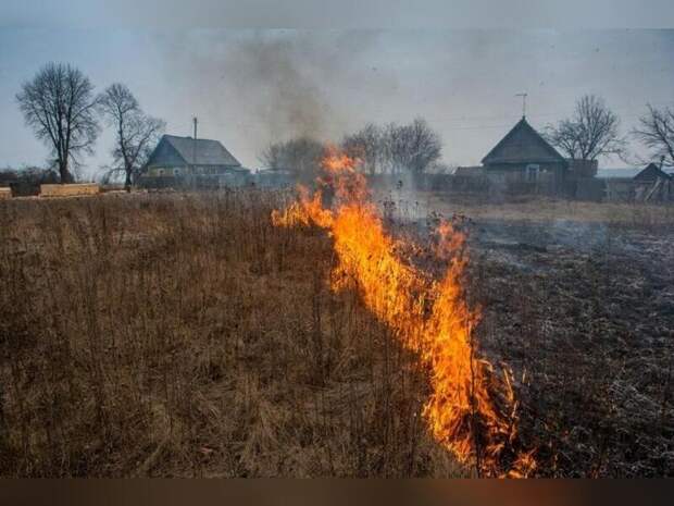 Работники животноводческой стоянки устроили пожар на 268 тысяч рублей