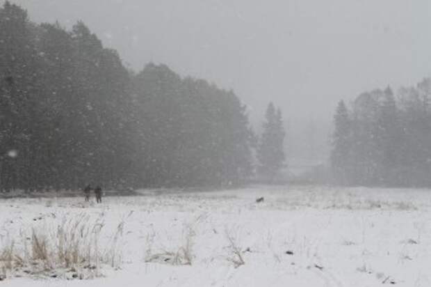 После ледяных дождей в Калугу придут снегопады и похолодание