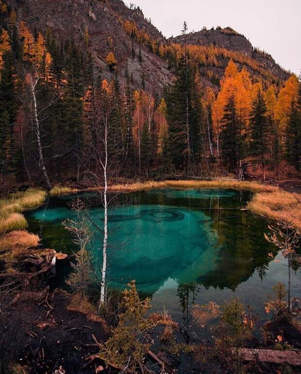 Осенние красоты Алтая Алтай, Горный Алтай, фотография, Видео, честно украдено, длиннопост, Природа