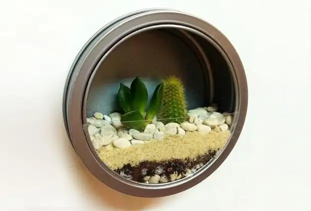 20 маленьких садов, которые поместятся в ладошке