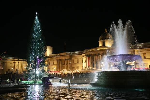 Norway London Christmas Tree Trafalgar Square