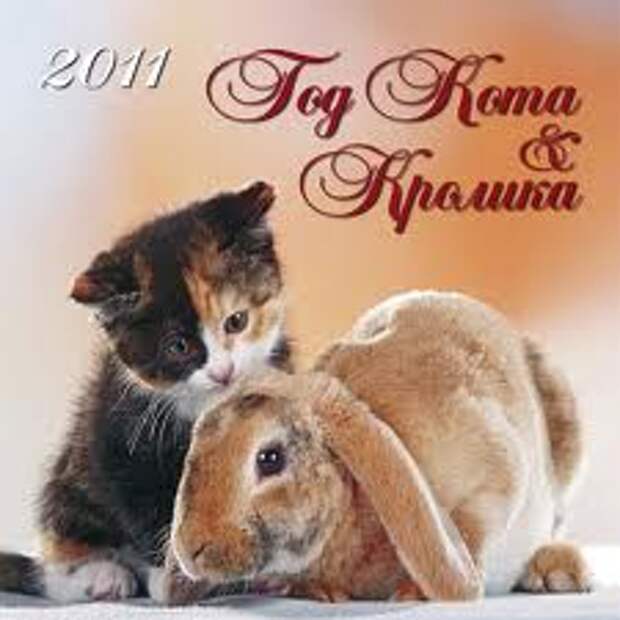 Год кота и кролика почему два. Год кота и кролика. Год кота и кролика 2011. Код кота и кролика. Год зайца и кота.