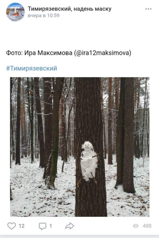 Фото дня: в Тимирязевском лесопарке снеговики повержены зимней красотой