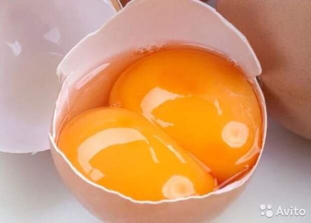 два желтка в яйце фото