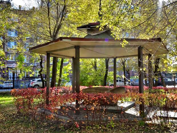 Городская достопримечательность Уссурийска - черепаха