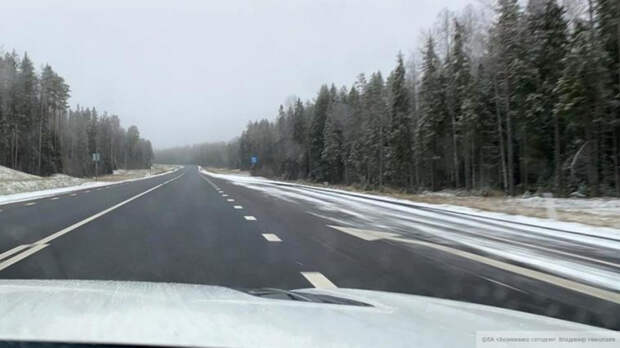 СК возбудил дело после обнаружения трупа на трассе в Ленобласти