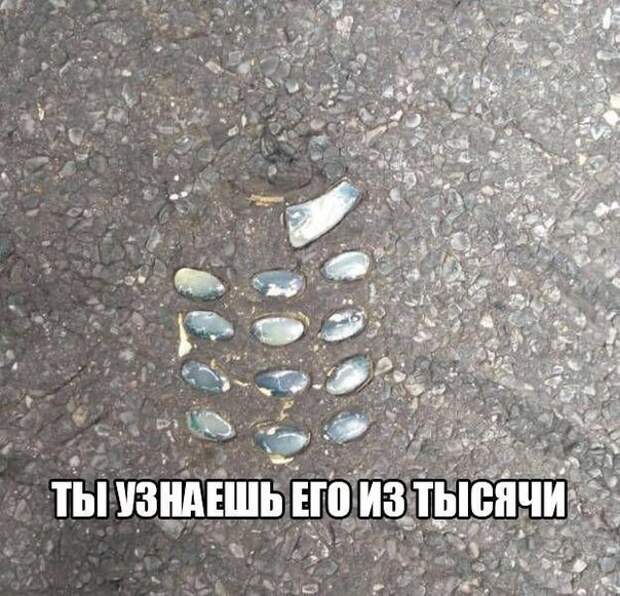 Смешные картинки с надписями с надписями, смешные картинки