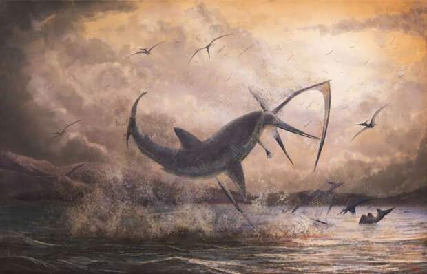 Открыт новый вид акулы возрастом 91 миллион лет