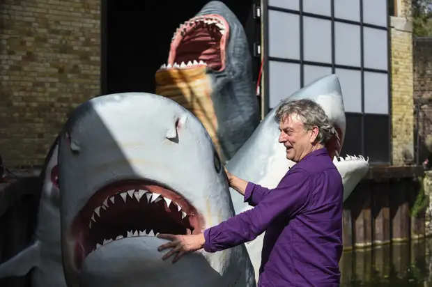 Древние акулы-мегалодоны достигали максимальных размеров в холодных морях