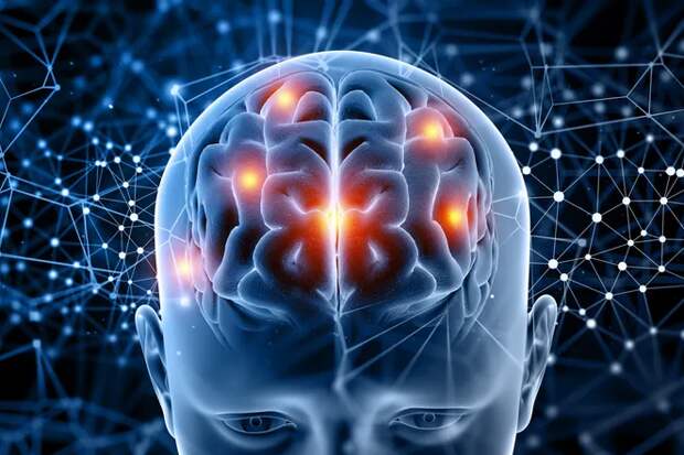 Восстановление поврежденного мозга стало возможным. Стволовые клетки в борьбе с инсультом
