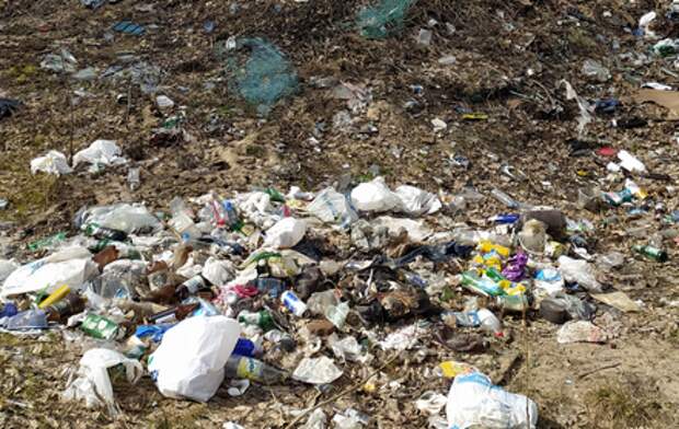 В Новосибирске с незаконной свалки вывезли 10 тонн мусора