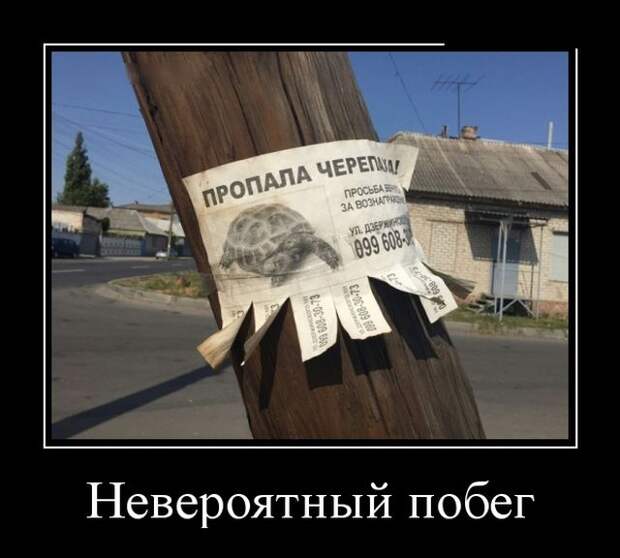 Демотиваторы свежие и позитивные для поднятия настроения (11 фото)