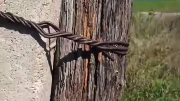 Полсотни жителей поселка Алтайского края могут остаться без света из-за ветхих столбов ЛЭП