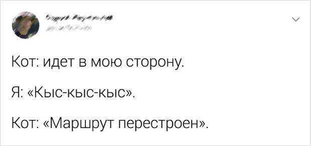 20+ вещей, которые будут понятны только тем, кто делит свою жилплощадь с котом