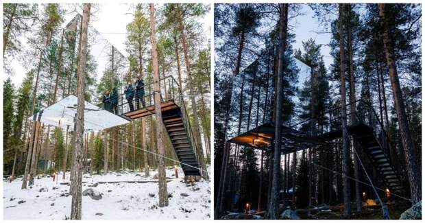 В Швеции сдают «невидимый» куб на дереве