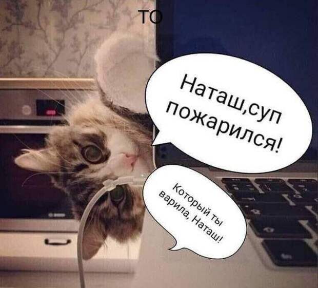 Смешные до слез картинки с юмором