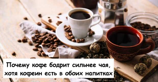 Почему кофе бодрит сильнее чая, хотя кофеин есть в обоих напитках