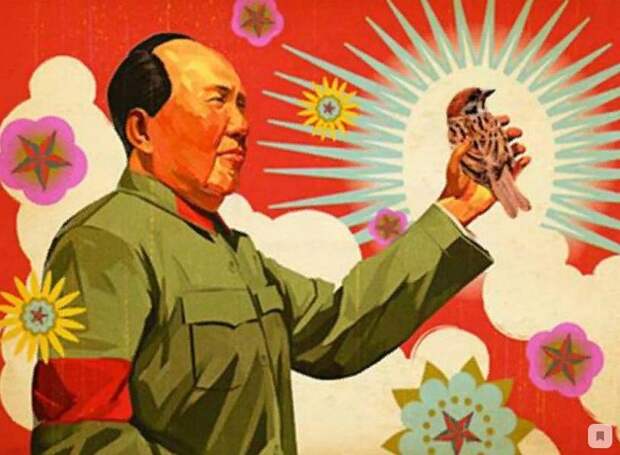 Почему в Китае фермеры опыляют деревья вручную