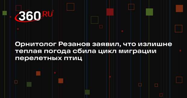 Орнитолог Резанов заявил, что излишне теплая погода сбила цикл миграции перелетных птиц