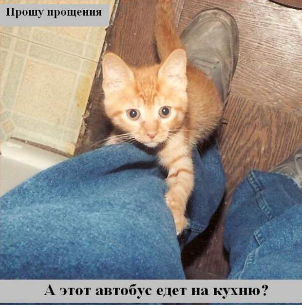 Мысли2 :) (50мыслей)