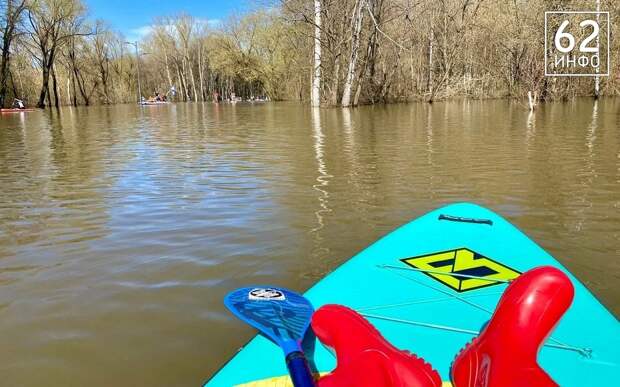 Ока, Мокша и Проня растут: половодье в Рязанской области 6 апреля