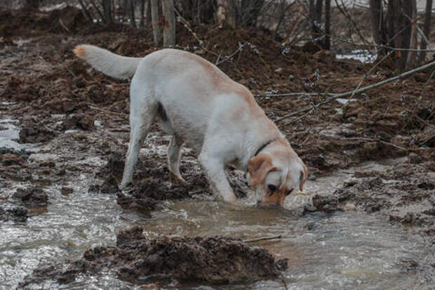 Споры плесени и другие очень токсичные вещества: чем на улице дышат Краснодарцы