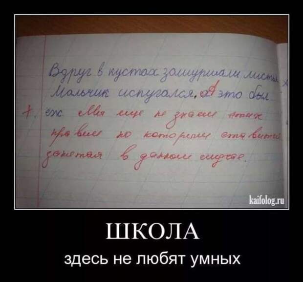 Прикольные демотиваторы с надписями. Подборка chert-poberi-dem-chert-poberi-dem-39000330082020-17 картинка chert-poberi-dem-39000330082020-17