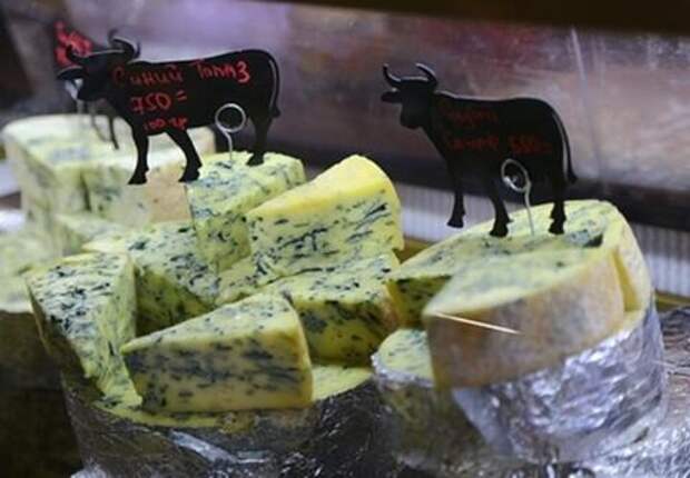 Сыр не для всех: гастроэнтеролог объяснила, кому этот продукт противопоказан