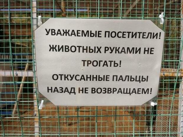 Настроения пост картинки, настроение, подборка