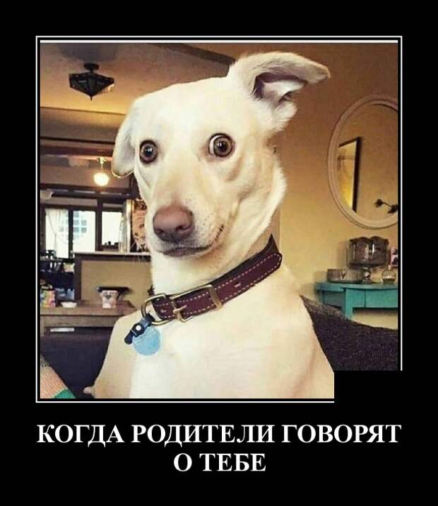 www.vsyako.net