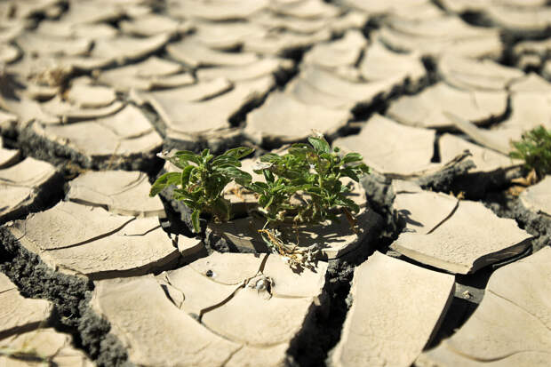 Guardian: глобальное потепление может необратимо изменить климат на Земле