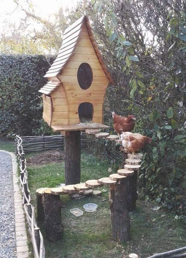 Easy chicken coop designs ideas -> Utilizing a great deal of mulch could save you water inside your garden in your house. You may get mulch from many different sources like tree branches, composted lawn trimmings, or dead plant materials. The most important factor is that you simply use plenty of it. #chickencoopdesigns #chickencoops
