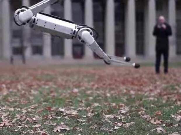 Четвероногого робота научили делать сальто назад: опубликовано забавное видео