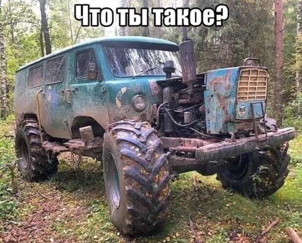 kartinok-intepesnyh-prikolnyh-kartinki-smeshnye-kartinki-fotoprikoly