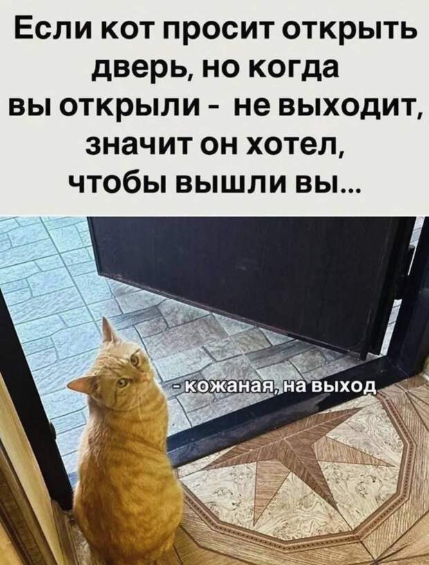 Юмор и психология