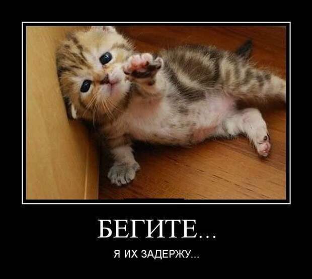 Демотиваторы (20 фото)