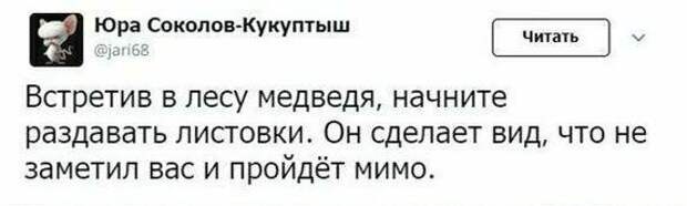 Совет для тех, кто потерялся в лесу Совет для тех, кто потерялся в лесу подборка, прикол, совет, советы, юмор