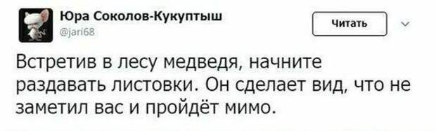 Совет для тех, кто потерялся в лесу подборка, прикол, совет, советы, юмор