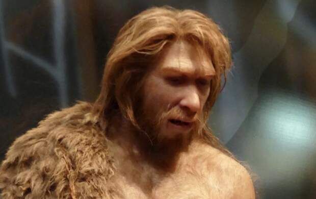 Генетики раскрыли причину вымирания неандертальцев