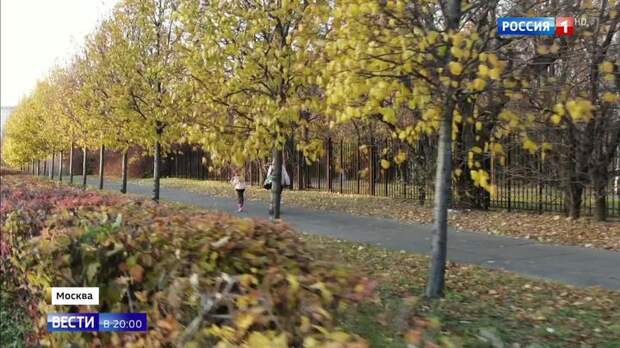 В Москву пришло "пожилое бабье лето" 