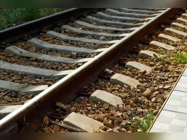 Тепловозы дважды становились причиной возгорания травы в Забайкалье - Маркелов