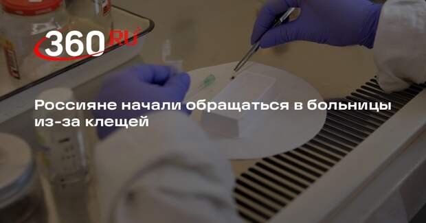 Россияне начали обращаться в больницы из-за клещей
