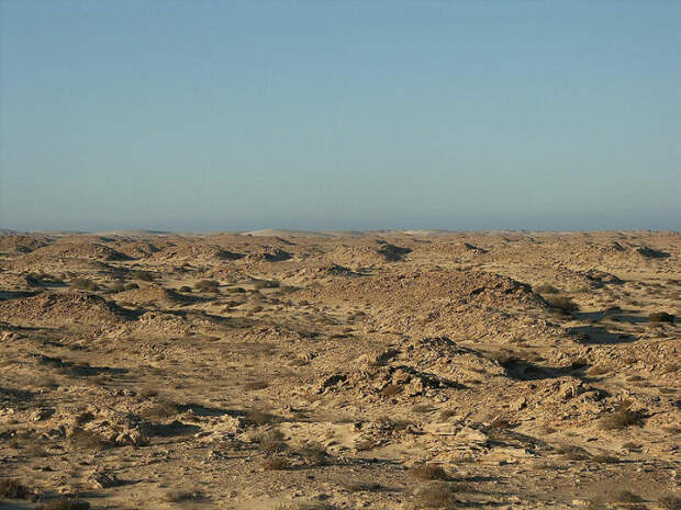 В большинстве своем территория Западной Сахары так и остается пустынной. /Фото: wikipedia.org