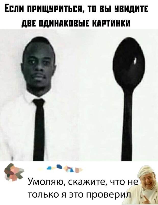kartinok-intepesnyh-prikolnyh-kartinki-smeshnye-kartinki-fotoprikoly