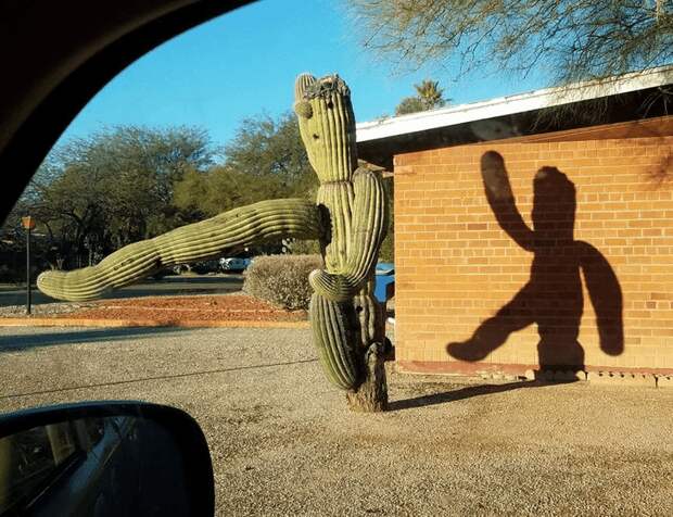 Фотография: 22 удивительных фото, где ракурс решает №4 - BigPicture.ru