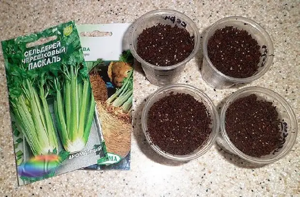 посев семян посев семян