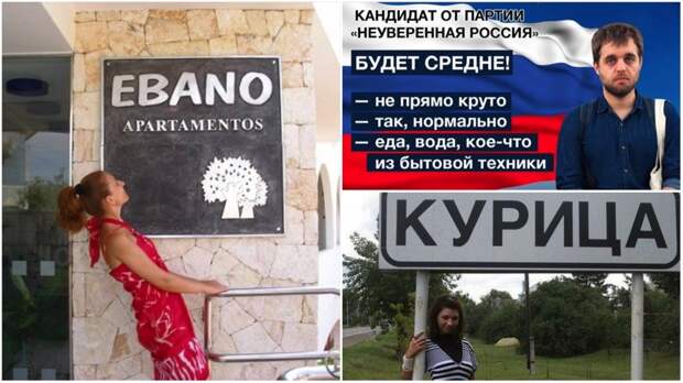 Когда честность превыше всего прикол, честность, юмор