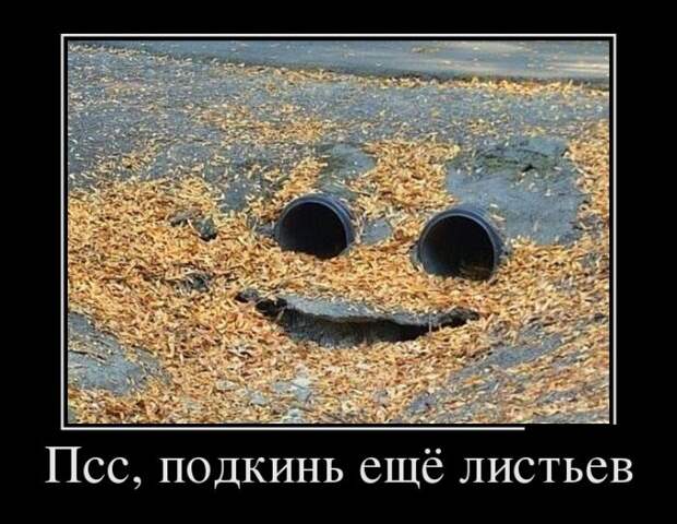 Лучшие демотиваторы дня. Часть 367. Лучшие демотиваторы дня. Часть 367.